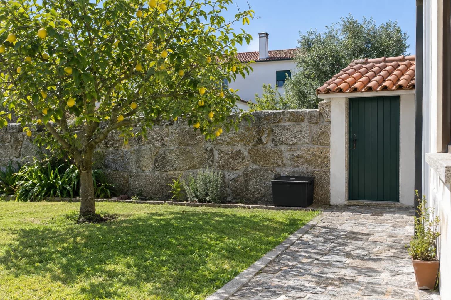 Quintal de uma casa com um muro de granito, um limoeiro, uma arrecadação de telha e uma caixa preta junto ao muro