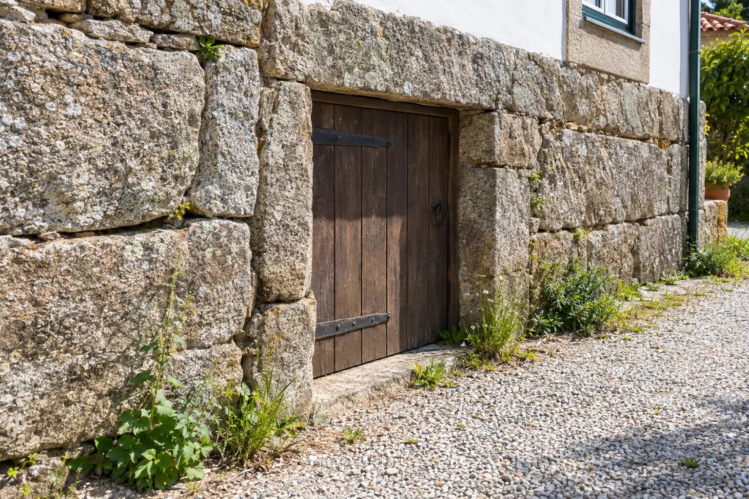 Base de um muro de pedra de granito de uma casa, com uma porta de madeira fechada de uma cave e ervas junto à parede